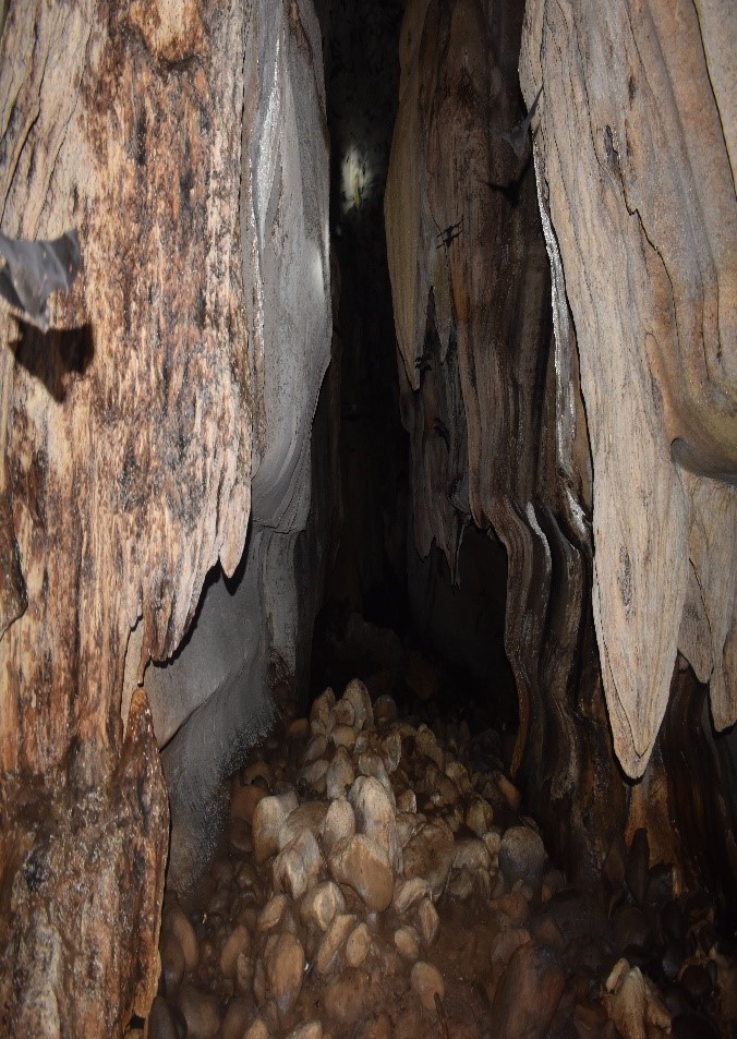 <b class="font-bara"><i class="bi bi-geo-fill h4"></i> MABUA CAVE</b> <br/>Located at Brgy. Cayale
